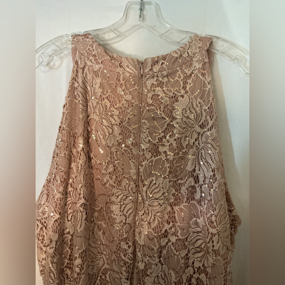 Roz & Ali Blush Lace Sequin Midi Dress - Picture 7 of 8